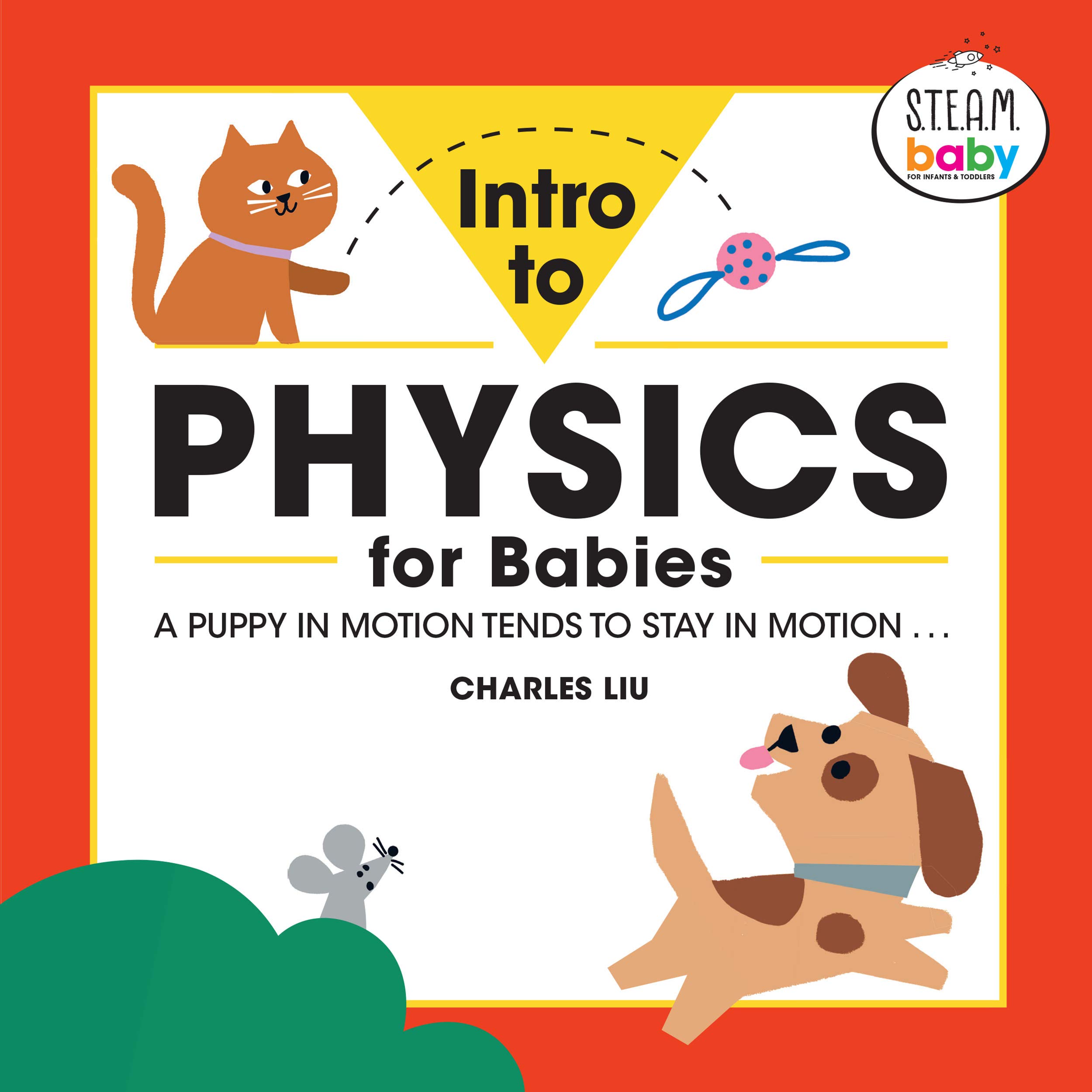 Intro to Physics for Babies (S.T.E.A.M. Baby for Infants & Toddlers) (STEAM Baby for Infants and Toddlers)