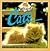 Cats (First Pets)
