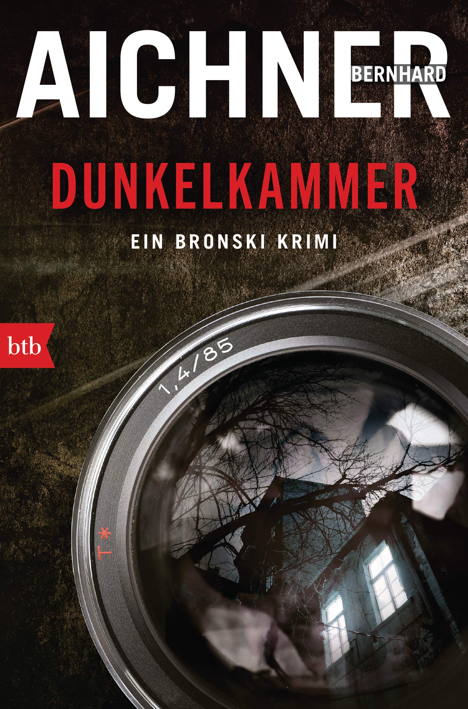 Dunkelkammer (Ein Bronski Krimi, #1)