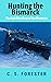 Hunting the Bismarck: The Last Nine Days of the Bismarck