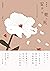 請讓我安詳、快樂的死──《阿信》編劇的終活計劃 (Traditional Chinese Edition)