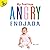 My Feelings Angry, Ages 0 - 1 by Barry Cole