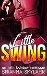 Little Swing by Brianna Skylark