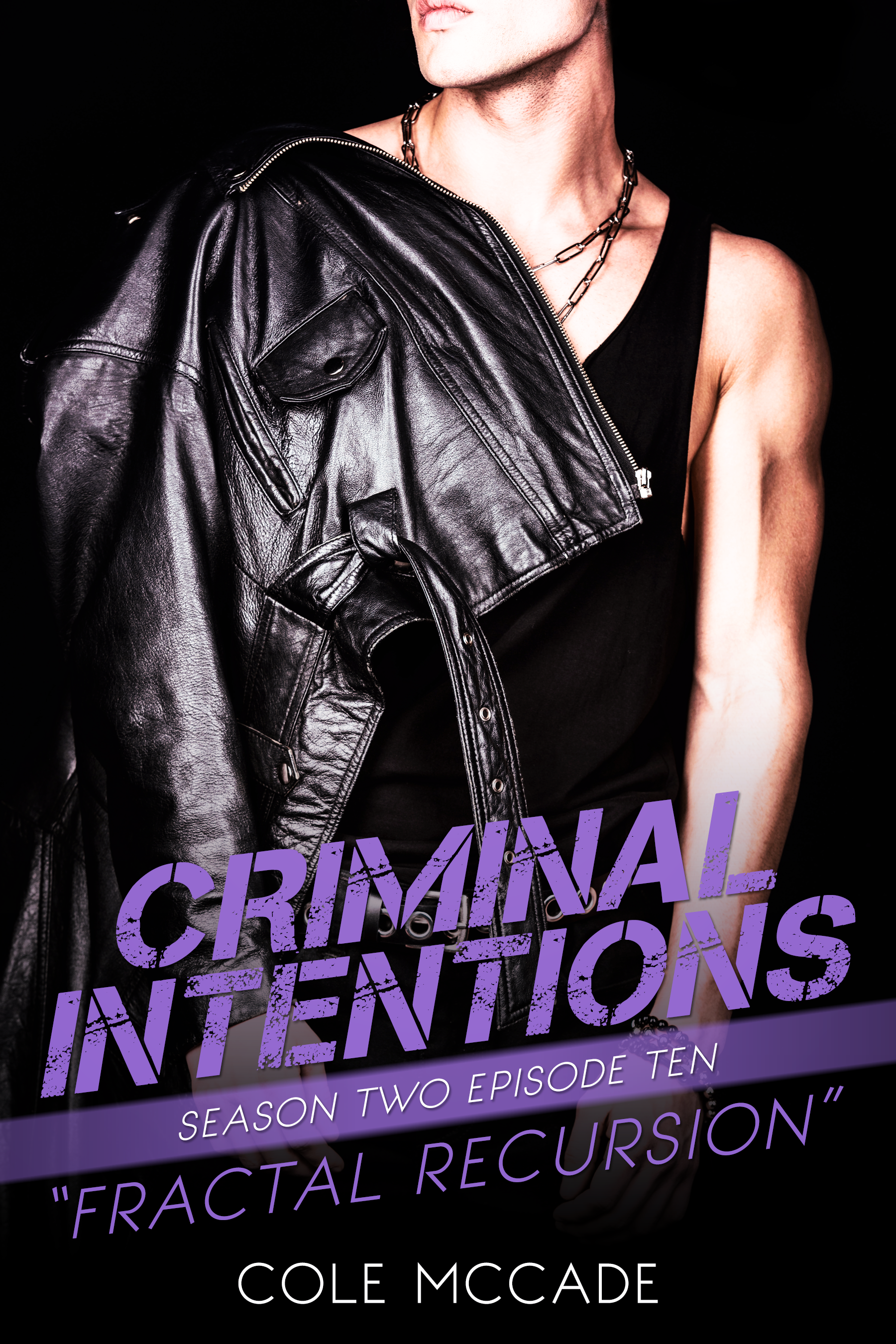 Fractal Recursion (Criminal Intentions, #23)