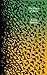 Plague of Doves: A Novel (Harper Perennial Olive Editions)