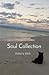 Soul Collection