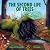 The Second Life of Trees