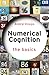 Numerical Cognition