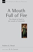 A Mouth Full of Fire: The Word of God in the Words of Jeremiah (Volume 29)