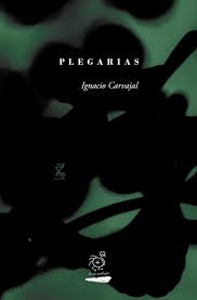 Plegarias (Paperback)