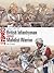 British Infantryman vs Mahdist Warrior: Sudan 1884–98 (Combat, 58)