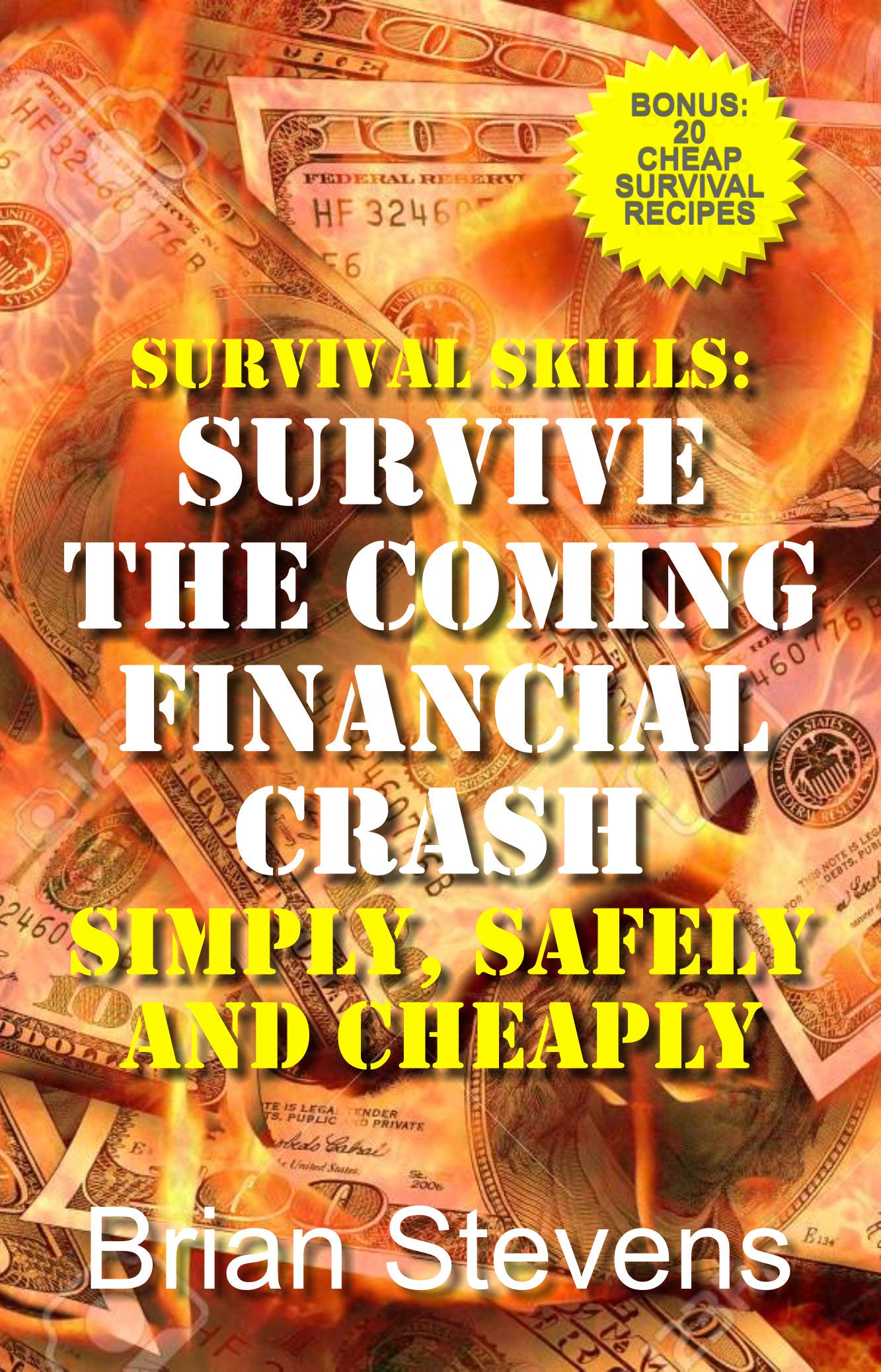 Survival Skills: Survive The Coming Financial Crash Simply, Safely, And Cheaply (Kindle Edition)