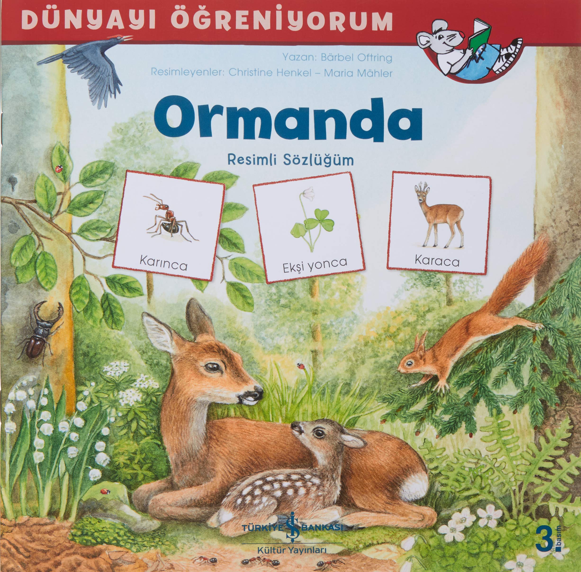 Ormanda - Dünyayı Öğreniyorum (Paperback)