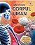 Totul despre corpul uman by Anna Claybourne