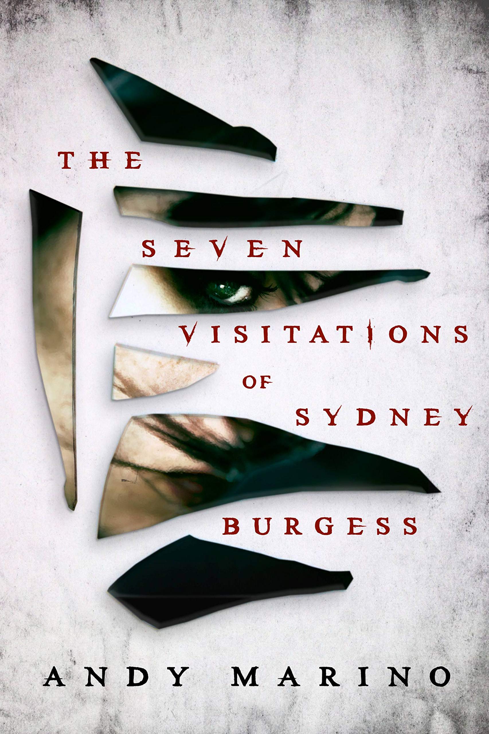 The Seven Visitations of Sydney Burgess (Kindle Edition)