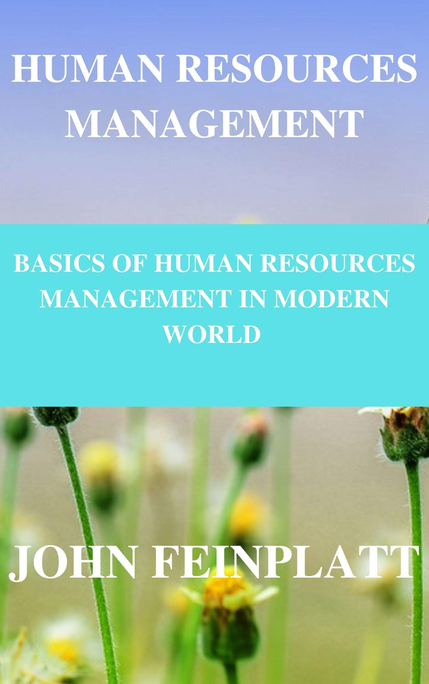 HUMAN RESOURCES MANAGEMENT : BASICS OF HUMAN RESOURCES MANAGEMENT IN MODERN WORLD (Kindle Edition)