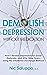 Demolish Depression (without medication) by Nic Saluppo