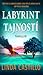 Labyrint tajností (Kate Burkholder, #10)