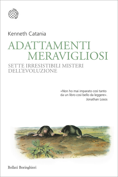Adattamenti meravigliosi: Sette irresistibili misteri dell'evoluzione