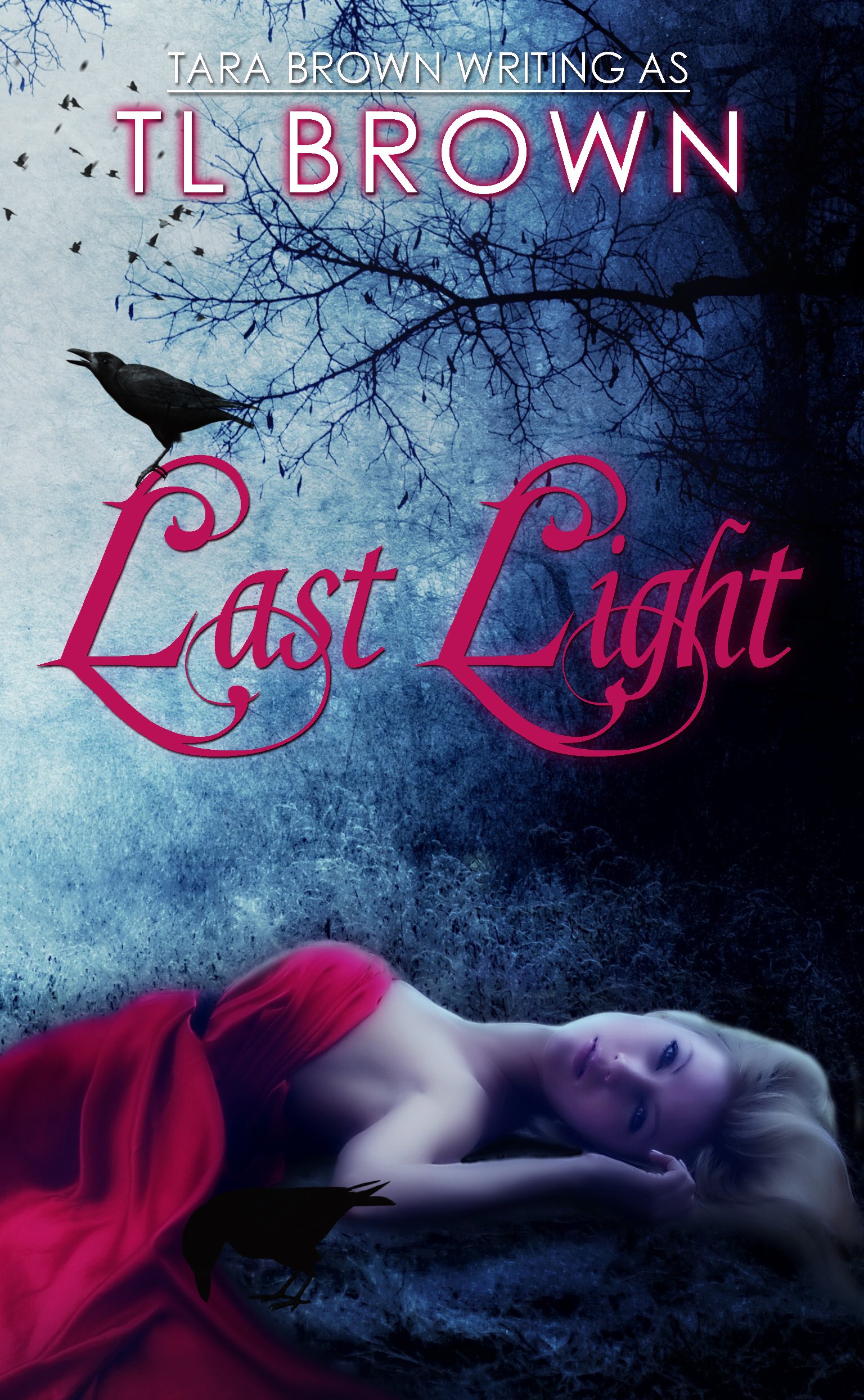 Last Light (Kindle Edition)