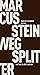 Splitter (Fröhliche Wissenschaft 103) (German Edition)