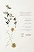Poesia completa – Volume 1:...