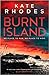 Burnt Island (DI Ben Kitto, #3)