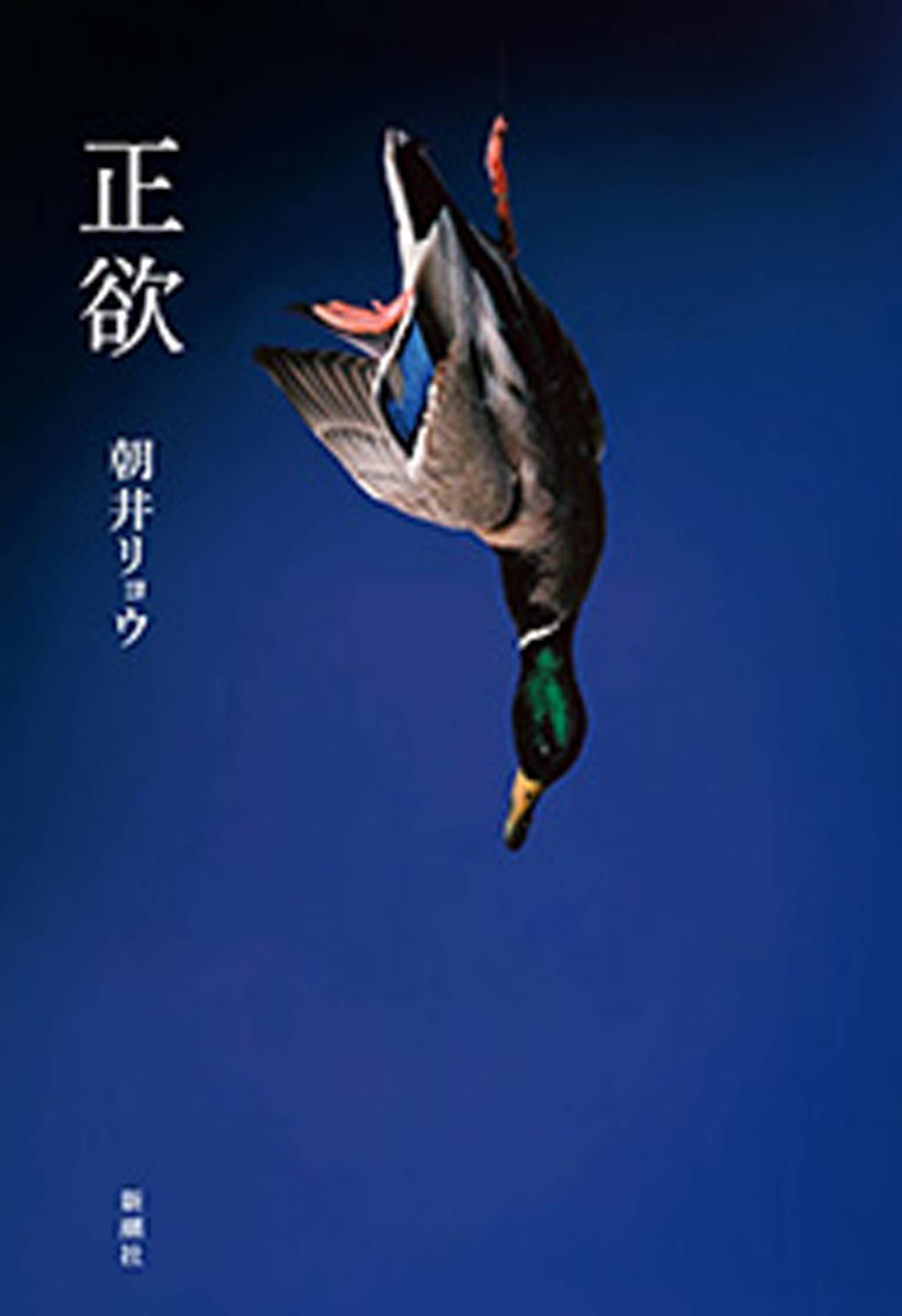 正欲 (Japanese Edition)