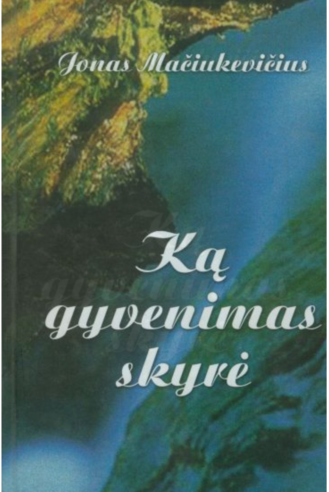 Ką gyvenimas skyrė