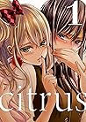 Citrus Manga, English Version: Vol 1