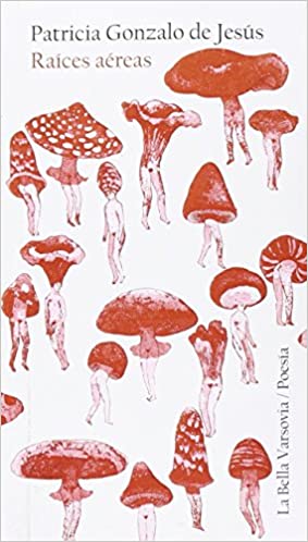 Raíces aéreas (Paperback)