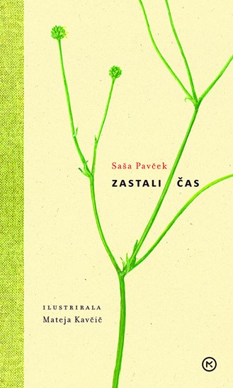 Zastali čas (Paperback)