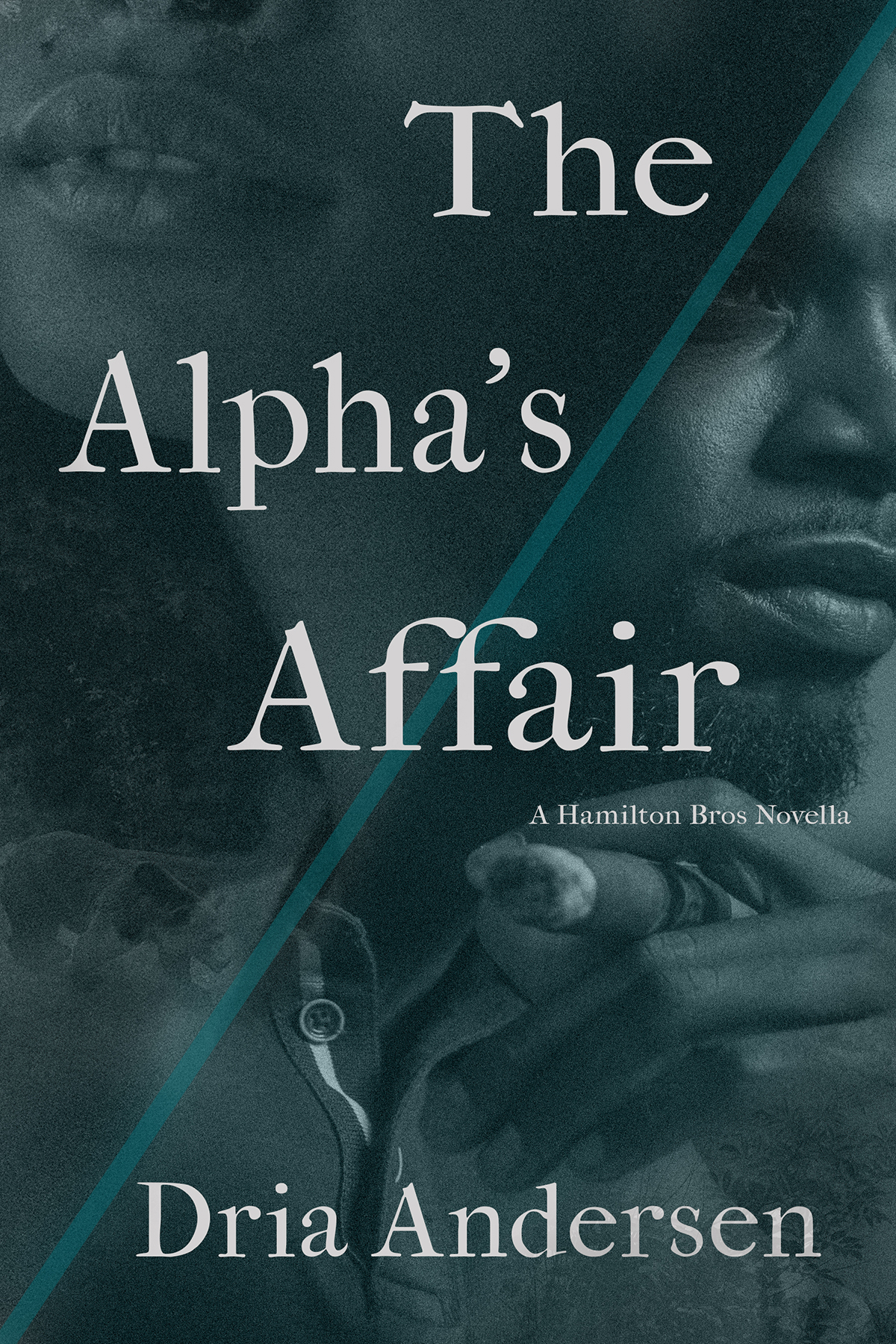 The Alpha's Affair (Hamilton Brothers, #2)