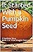 It Started With a Pumpkin S...