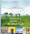 TECNICAS DE PINTU...