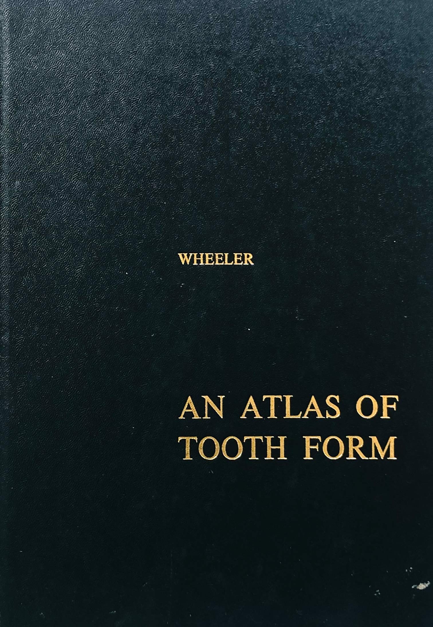 An Atlas of Tooth Form (Textbook Binding)