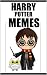 P0TTER M£M£S by Ray Hudgson-Memes