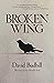 Broken Wing