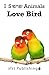Love Bird (I See Animals)