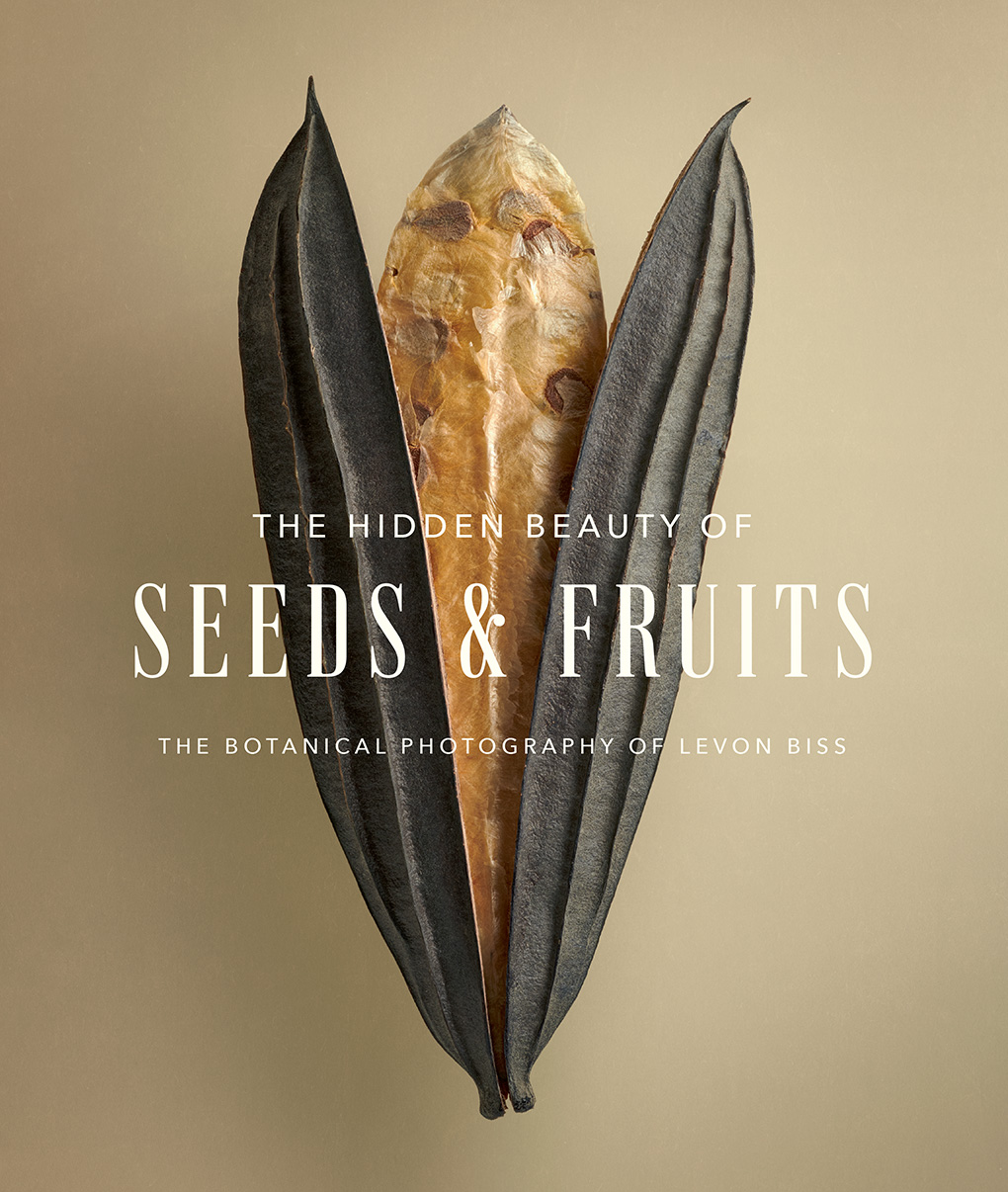 The Hidden Beauty of Seeds & Fruits: The Botanical Photography of Levon Biss (Hardcover)