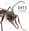 Ants: Workers of the World