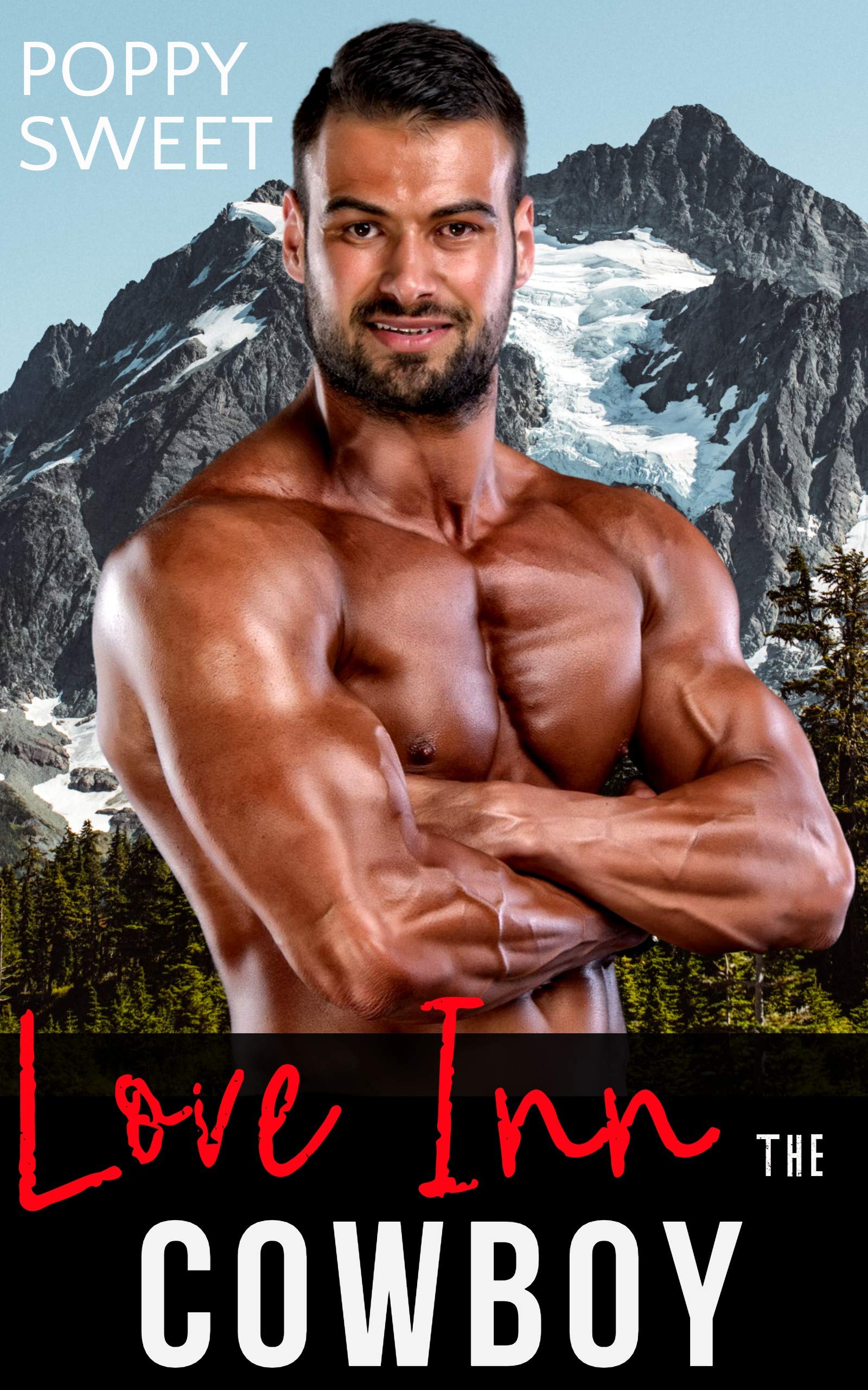 Love Inn the Cowboy (Love Inn Sisters #3)