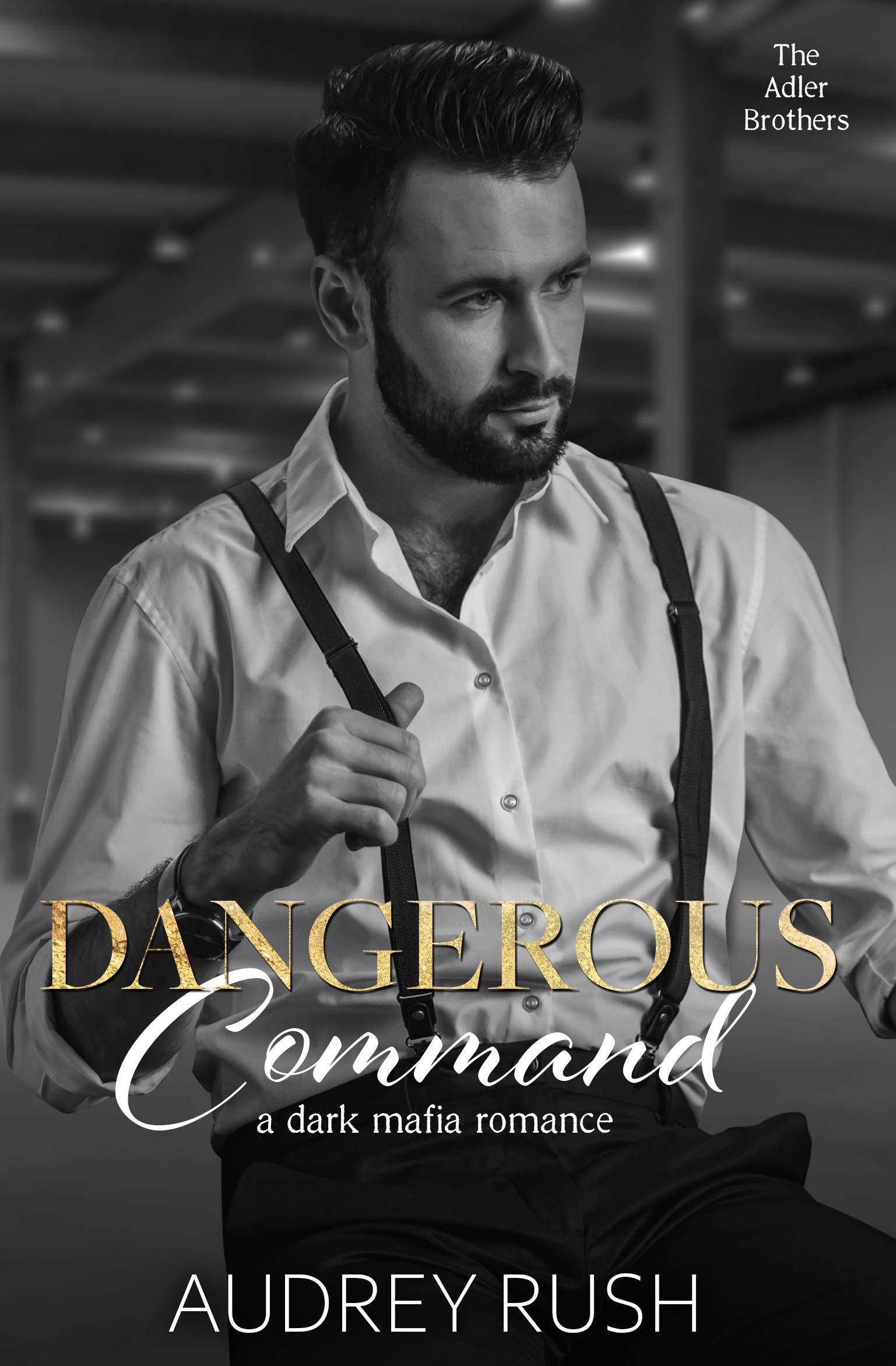 Dangerous Command (The Adler Brothers #3)