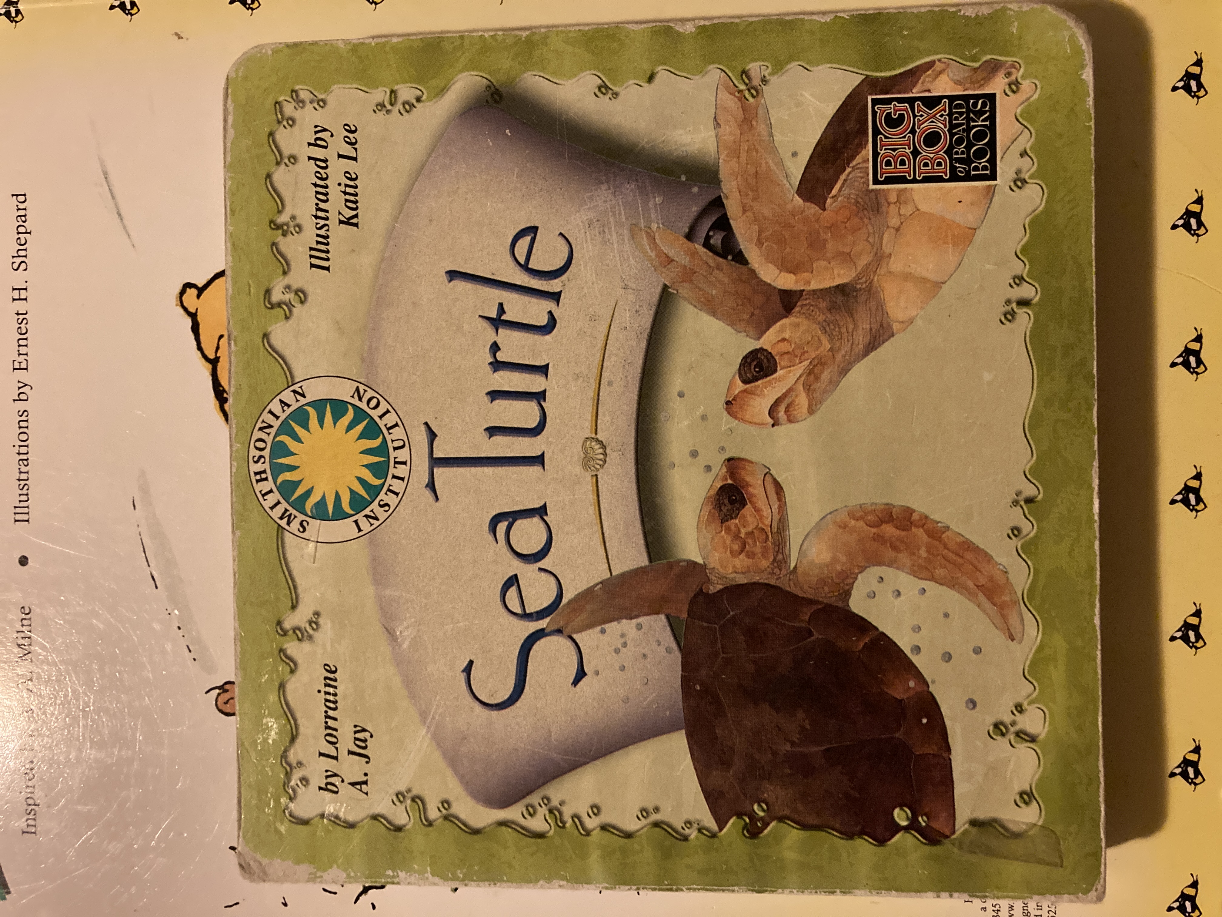 Sea Turtle (Smithsonian Institution) (Big Box of Board Books)