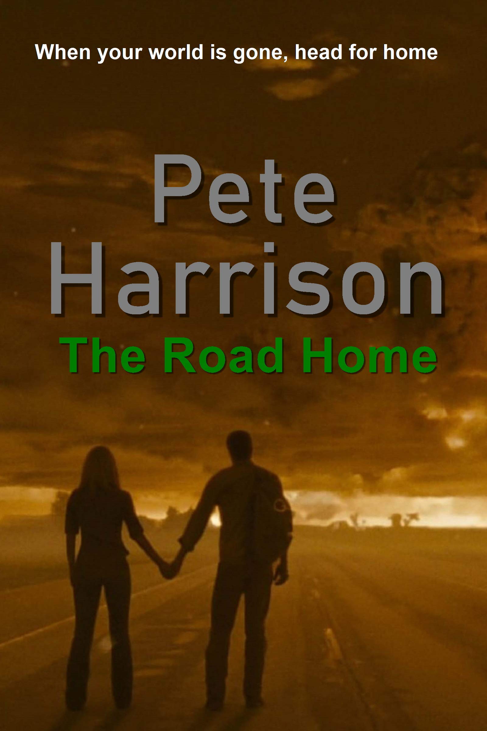 The Road Home (Kindle Edition)