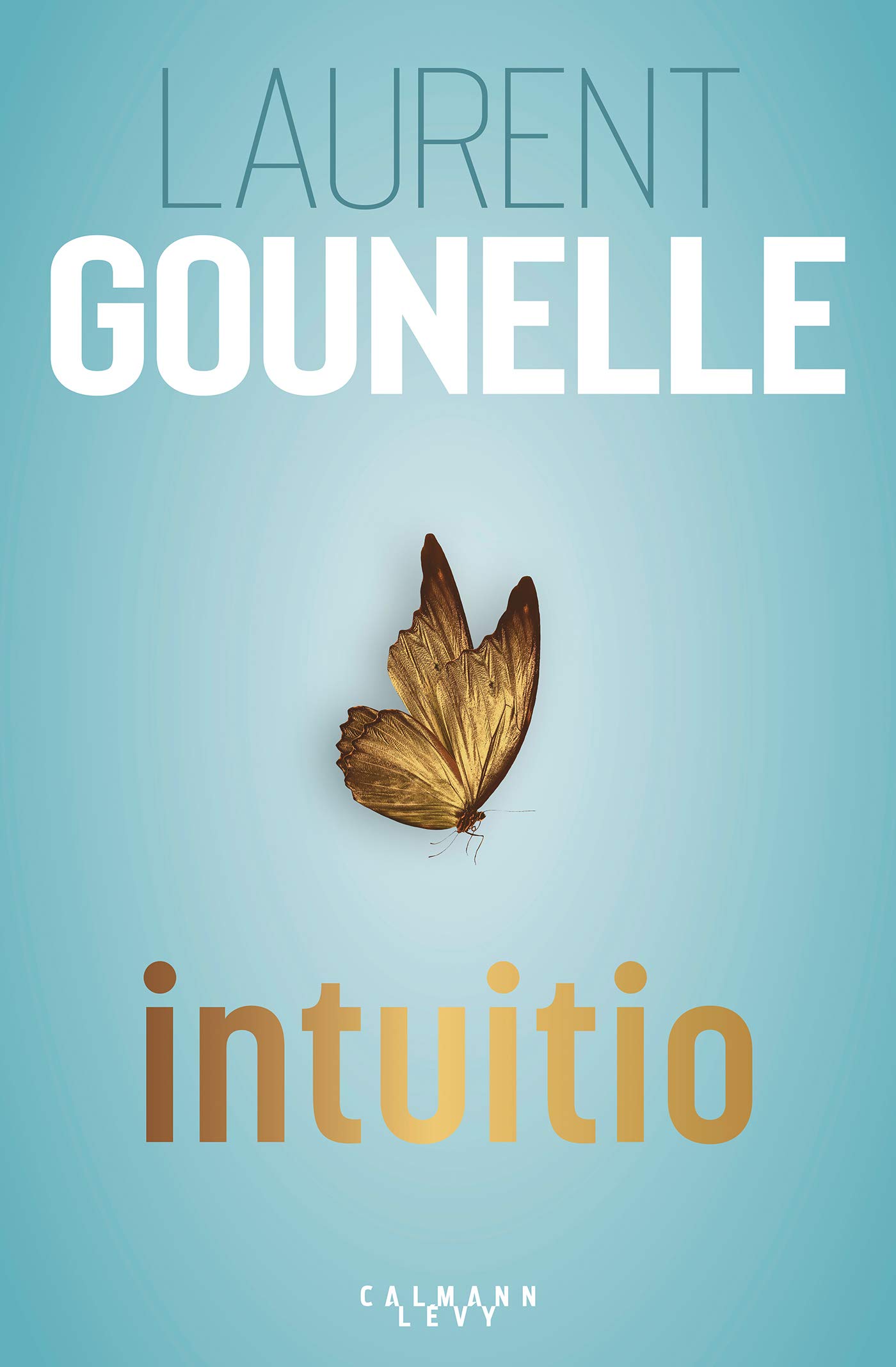 Intuitio (Paperback)