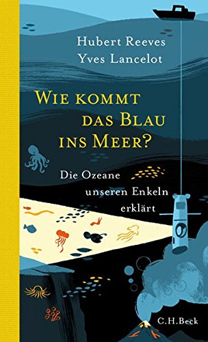 Wie kommt das Blau ins Meer?: Die Ozeane unseren Enkeln erklärt (Hardcover)