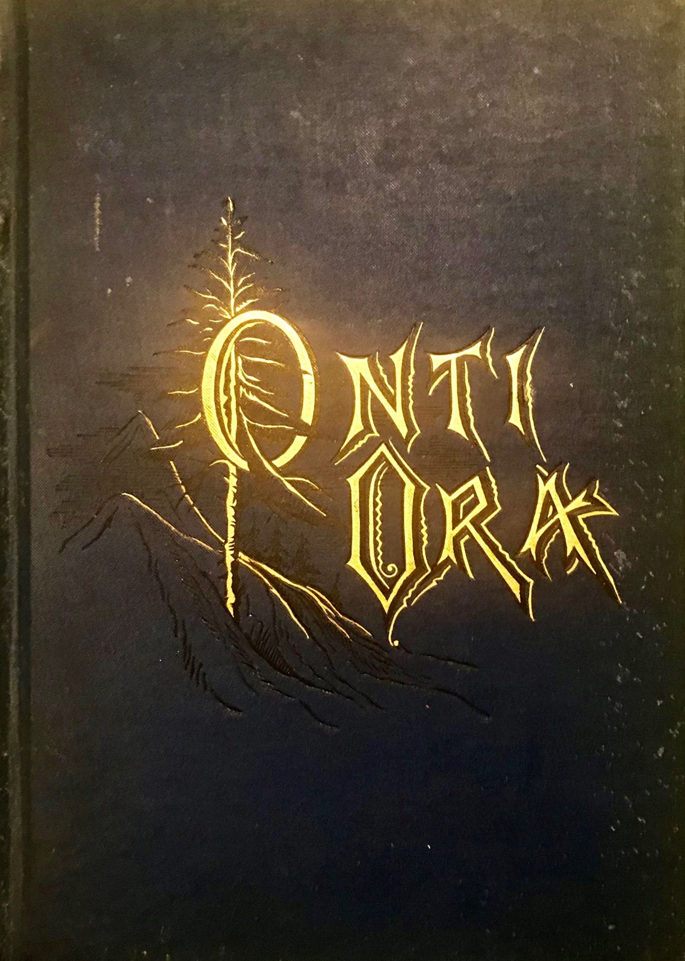 Onti Ora: A Metrical Romance (Hardcover)