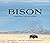 Bison: Portrait of an Icon