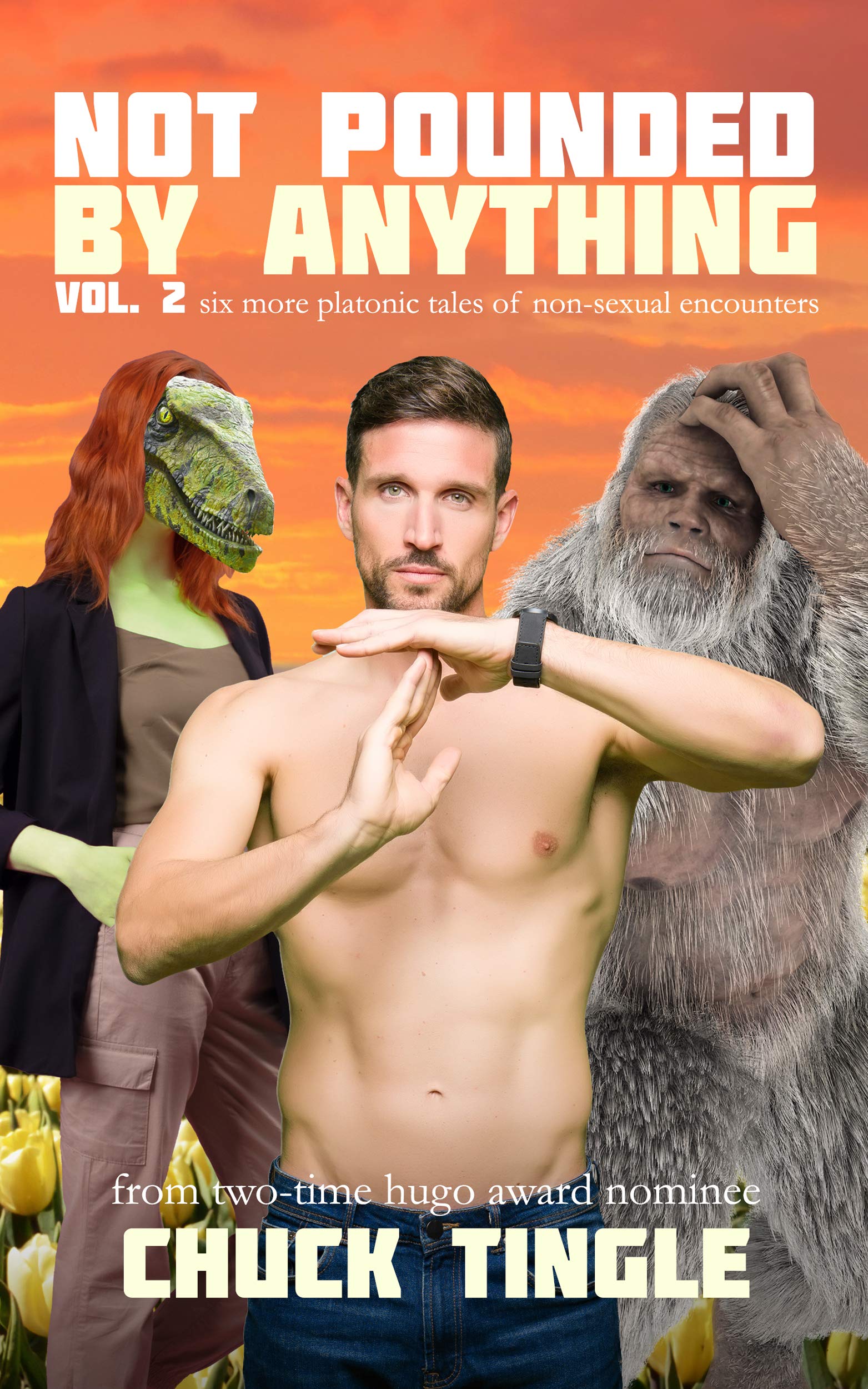 Not Pounded By Anything Vol. 2: Six More Platonic Tales Of Non-Sexual Encounters (Kindle Edition)